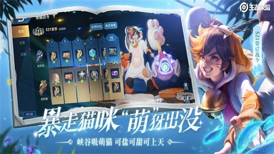 王者榮耀國標懸浮窗