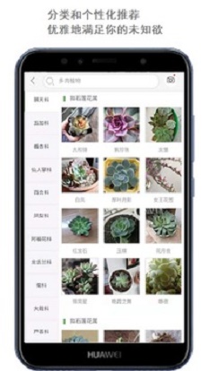 拍照識花識別植物