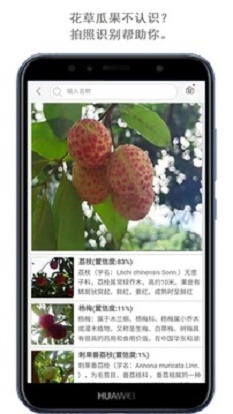 拍照識花識別植物