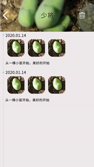 花草多肉日記