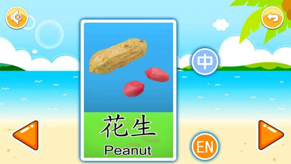 寶寶早教有聲卡片