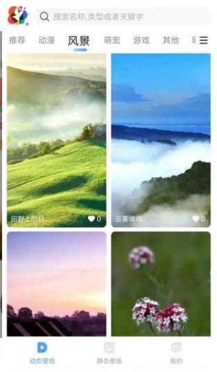 小鳥壁紙