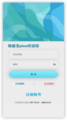 銀盛寶plus