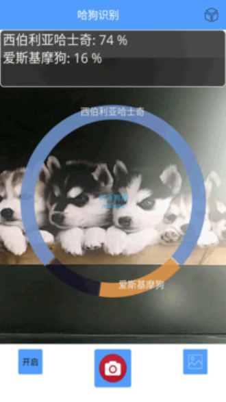 寵物小精靈