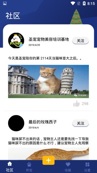 寶貝寵物