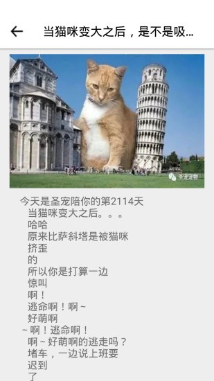 寶貝寵物
