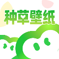種草壁紙手機版