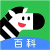 斑馬百科