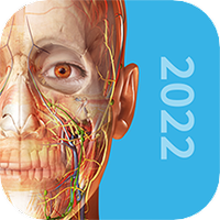 3D人體解剖