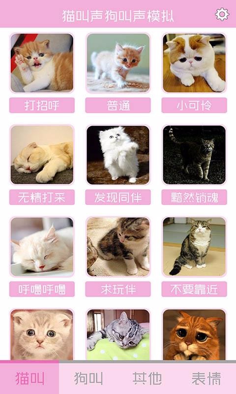 猫叫狗叫模拟器