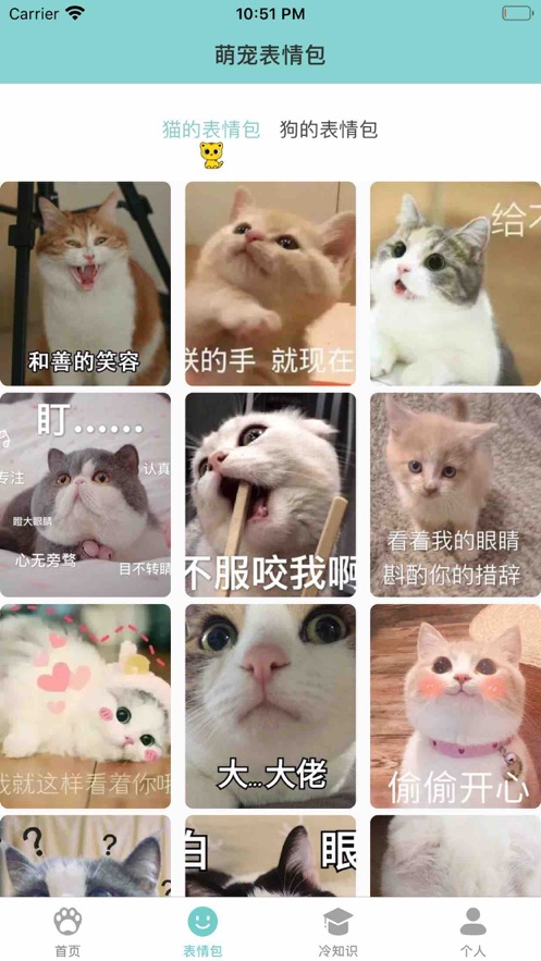 猫狗交流翻译图3