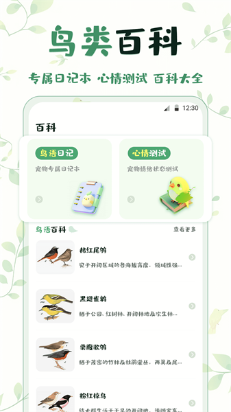 鸟语翻译精灵(3)