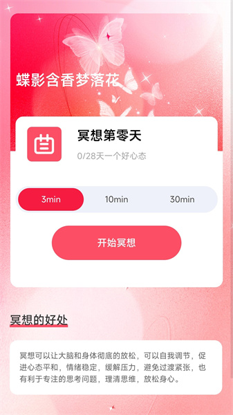 夢蝶行影