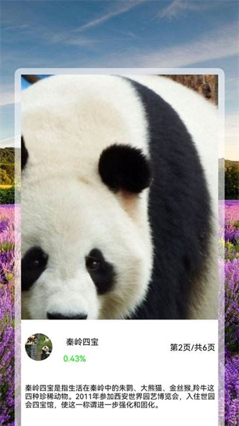 全能拍照識花精靈