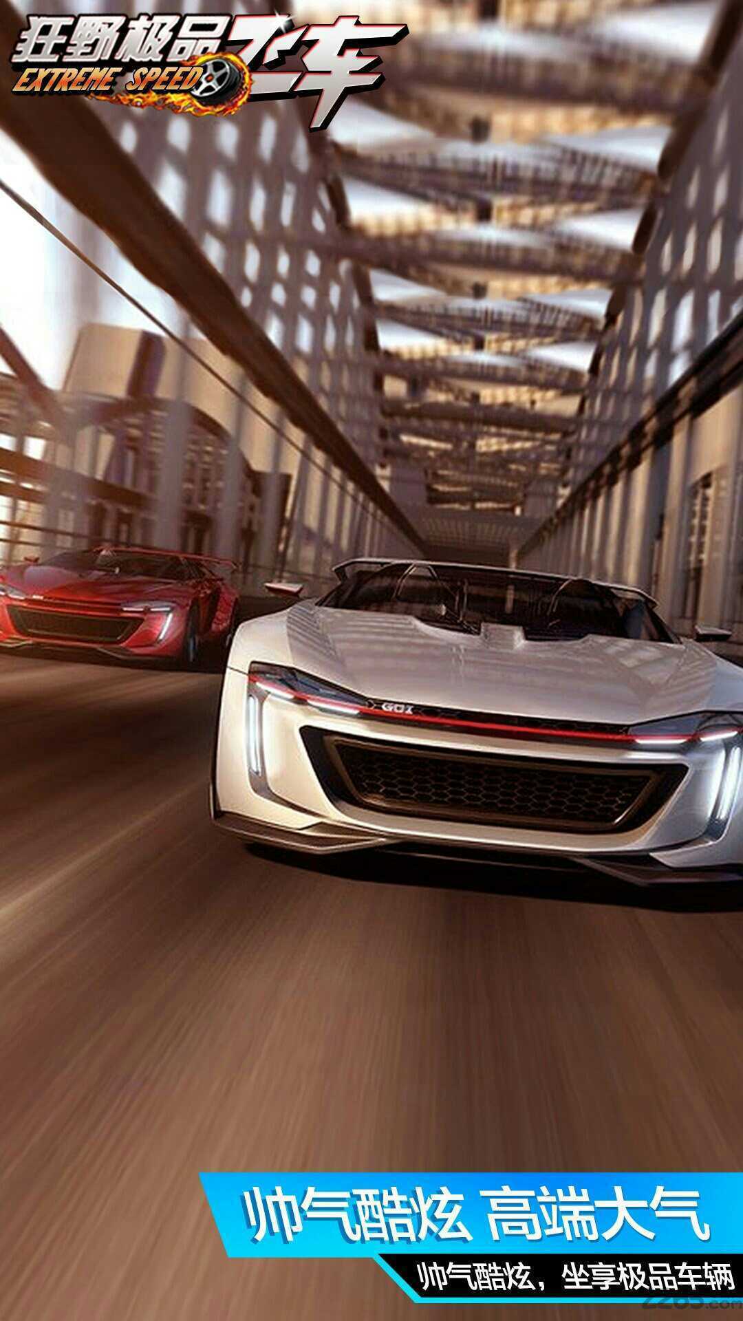 狂野极品飞车图2