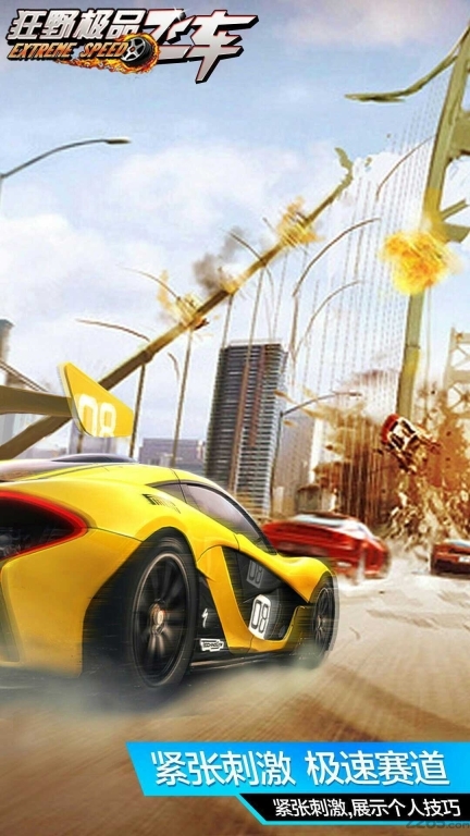 狂野极品飞车图4