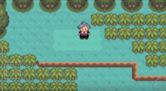 口袋妖怪冠军的旅程图2