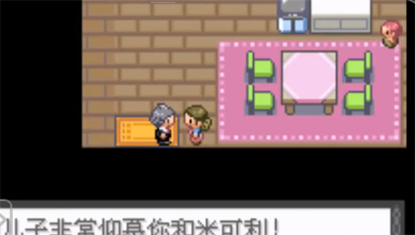 口袋妖怪冠军的旅程图3