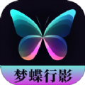 夢蝶行影