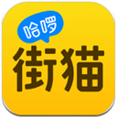 哈啰街猫