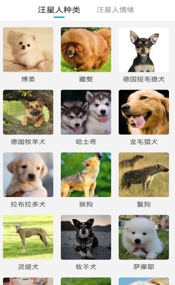 猫狗动物翻译器图4