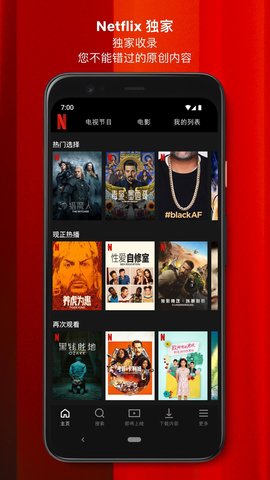 Netflix电视版图2