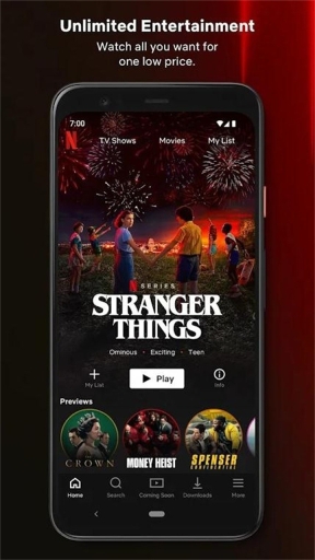 NETFLIX正版图2