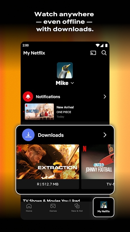 NETFLIX正版图4