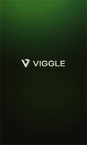 Viggleai图3