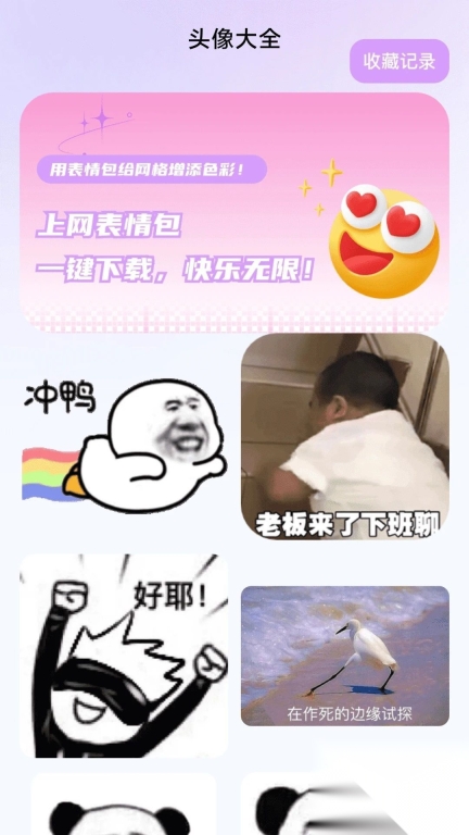 卓越上网伴侣