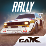 CarXRally V17304