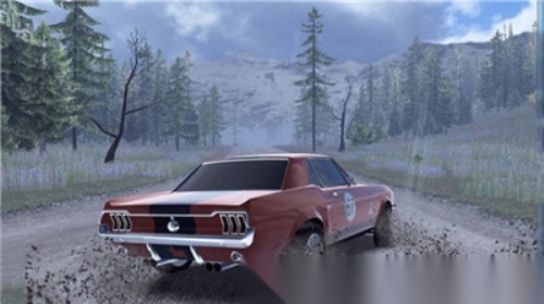 CarXRally图2
