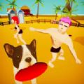 BeachFrisbee3D V1