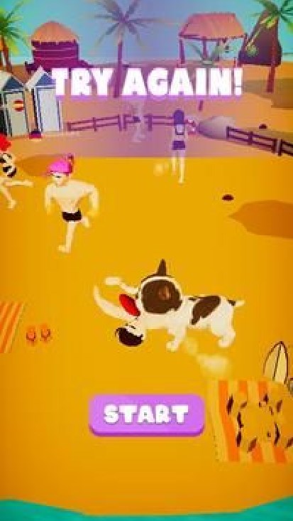 BeachFrisbee3D图2