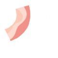 培根bacon V1.8