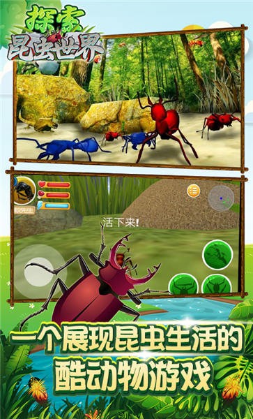 探索昆虫世界手机版图1