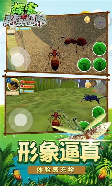 探索昆虫世界手机版图4