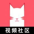 猫咪视频旧版