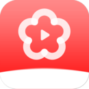 梅花视频素材免费版