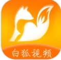 白狐视频