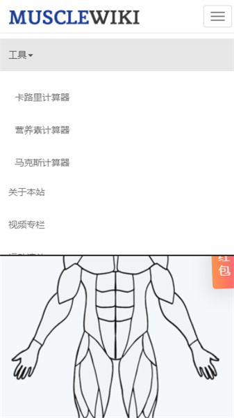 MuscleWiki图3
