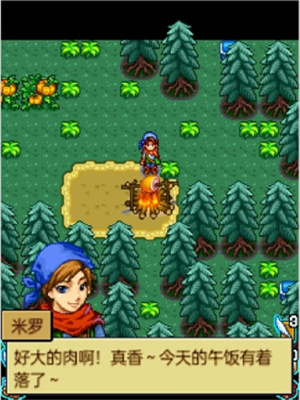 宠物王国4白金上帝版