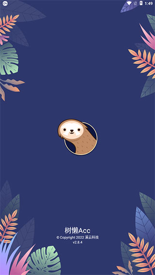 树懒Acc外服加速器无需OBB授权版