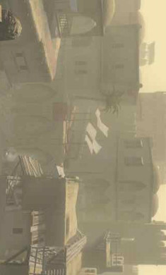 骑马与砍杀战团手机版