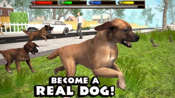 终极狗狗模拟器无限经验满级版