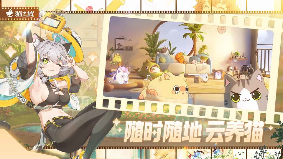 猫之城游戏