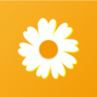 雏菊平台微信辅助