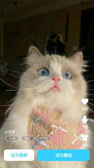 萬能主題組件圖2