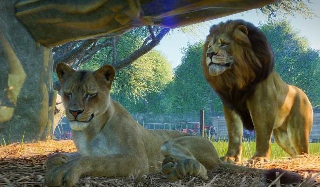 动物园之星官网版