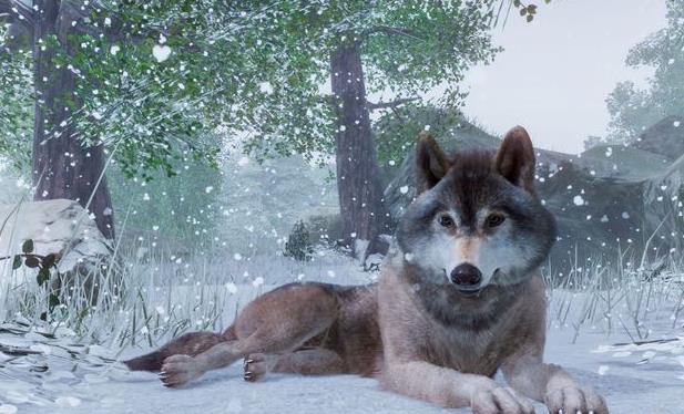 动物园之星官网版